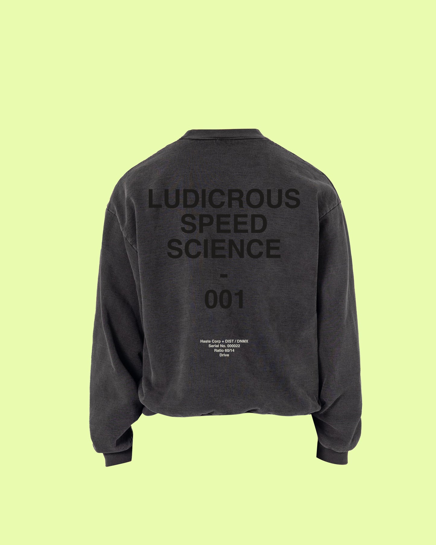 HASTE x DIST / DNMX "LSS" Sweatshirt